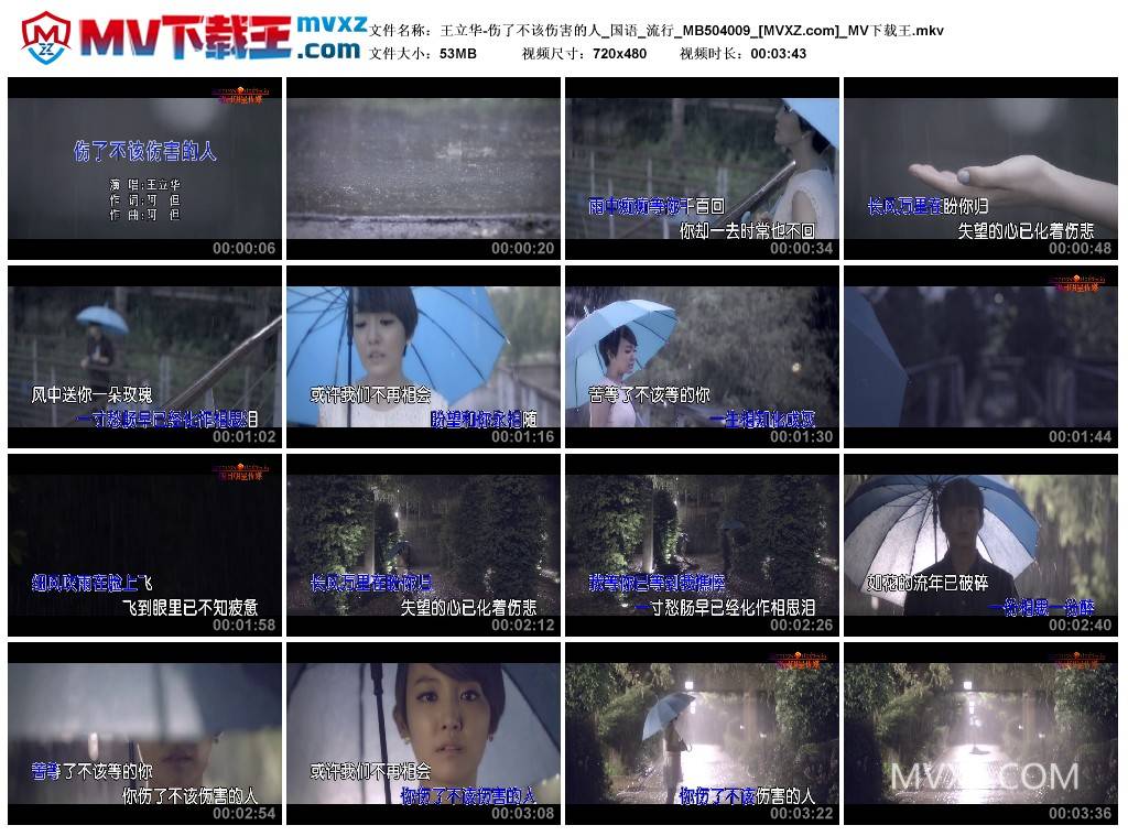 王立华-伤了不该伤害的人_国语_流行_MB504009